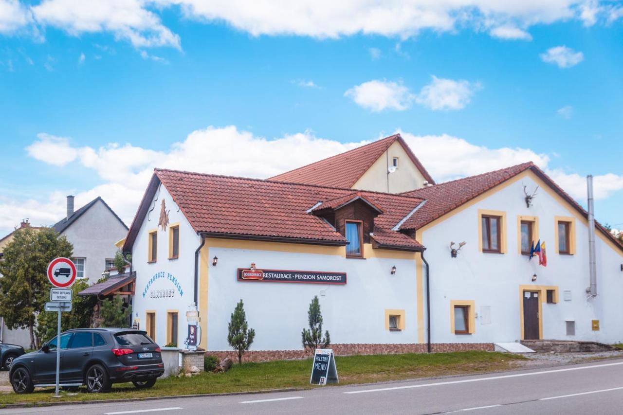 Penzion Samorost Jarosov nad Nezarkou Екстер'єр фото
